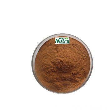 Organic Chaga Mushroom Extract Powder